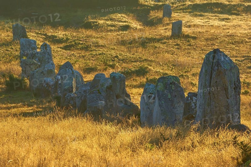 Neolithic menhirs, standing stone row in Carnac with sunrise, Carnac, Quiberon, Morbihan, Brittany, France, Europe