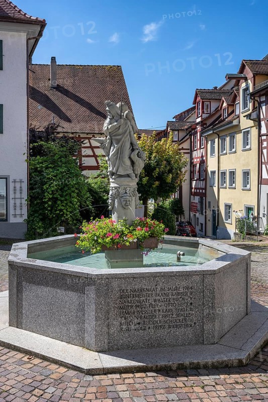 The Schnabelgiere fountain in front of historic half-timbered houses with the central figure of the Meersburg carnival, Swabian-Alemannic carnival, old town of Meersburg on Lake Constance, Lake Constance district, Baden-Württemberg, Germany, Europe