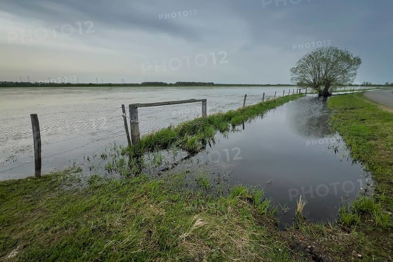 Ochsenmoor nature reserve, flooded, water, flood, tree, ditch, fence, meadow, climate, climate change, moor, heavy rain, groundwater, groundwater level, water level, landscape, Hüde, Germany, Europe