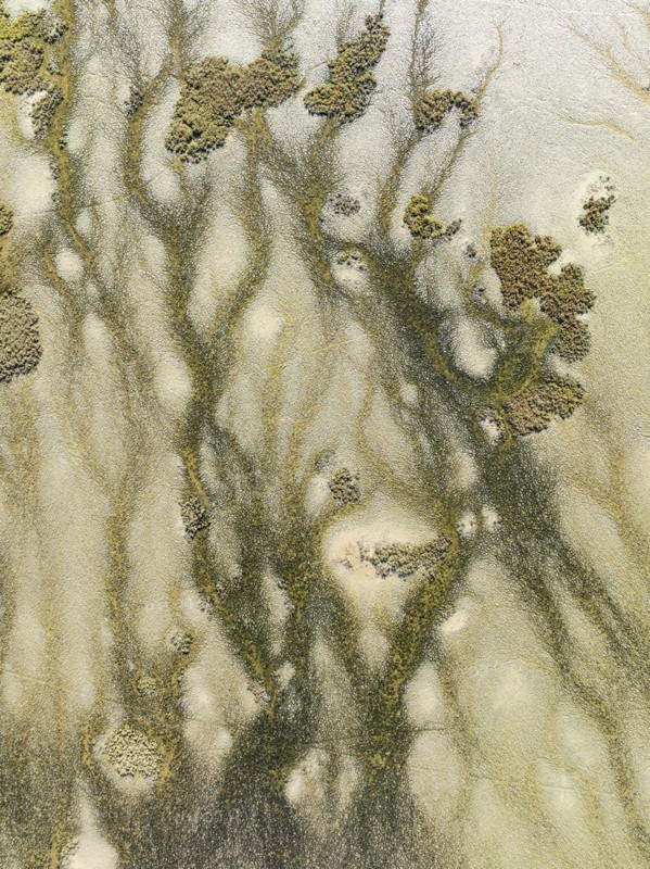 Marshland at low tide. Nature Reserve La Breña y Marismas del Barbate. Aerial view. Drone shot. Cádiz province, Andalusia, Spain, Europe