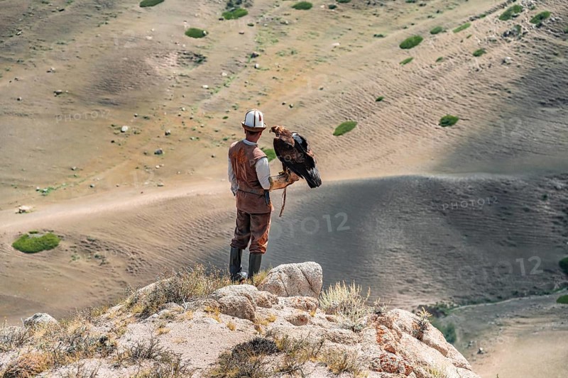Traditional Kyrgyz eagle hunter hunting in the mountains in a dry landscape, near Kysyl-Suu, Issyk Kul, Kyrgyzstan, Asia