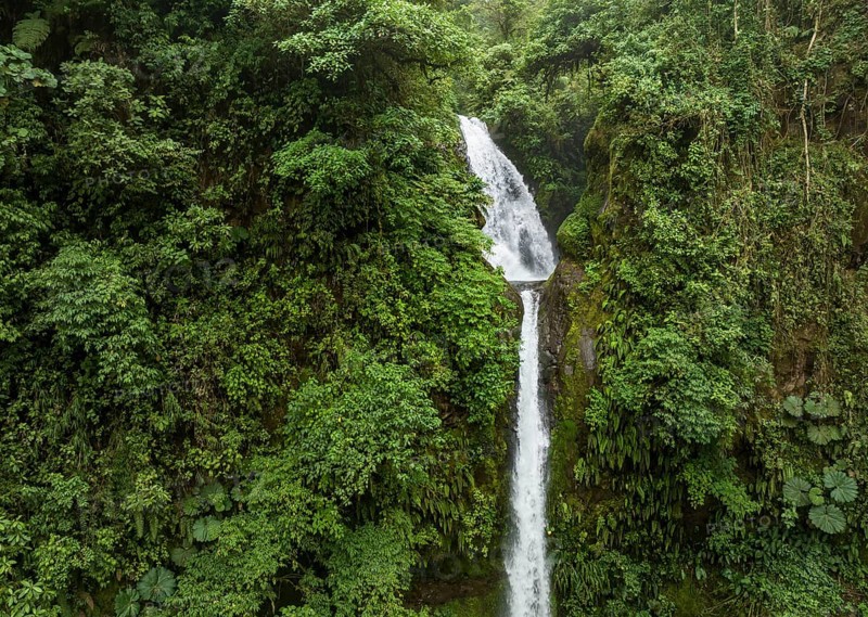 Aerial view, waterfall in the rainforest, Catarata de la Paz, La Paz Waterfall Gardens Nature Park, Alajuela Province, Costa Rica, Central America