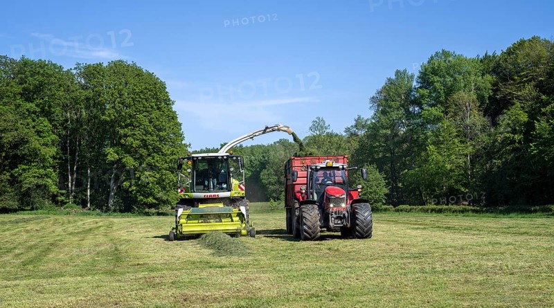 Tractor with trailer running beside Claas Jaguar 870 forage harvester, self-propelled silage chopper harvesting grass from meadow, pasture