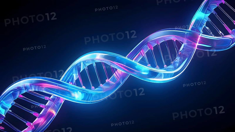 3d illustration of the structure of a human double dna helix, AI generated