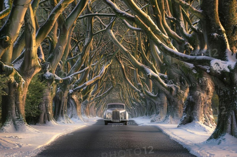 A Rolls Royce vintage car drives through a snow-covered tree-lined avenue in winter in an evening lighting scene, AI generated, AI generated, AI generated