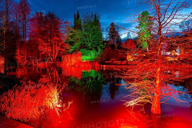 Parkleuchten, event in winter, in the Grugapark in Essen, many different light installations, across the park, attract many thousands of visitors, North Rhine-Westphalia, Germany, Europe