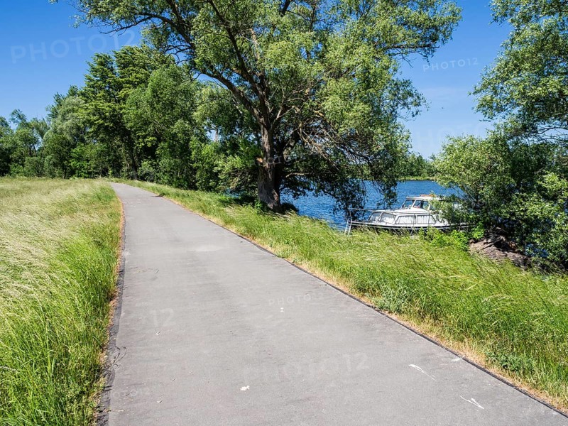 Havel cycle route, route between city Brandenburg and village Werder, leisure boats anchor at bank of river Havel, Brandenburg, Germany, Europe
