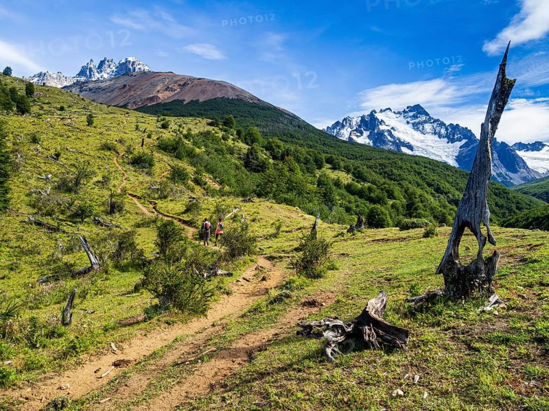Hiker on trail to lagoon below Cerro Castillo mountain, Reserva Nacional Cerro Castillo, east of mountain Cerro Castillo, Aysen region, Patagonia, Chile, South America