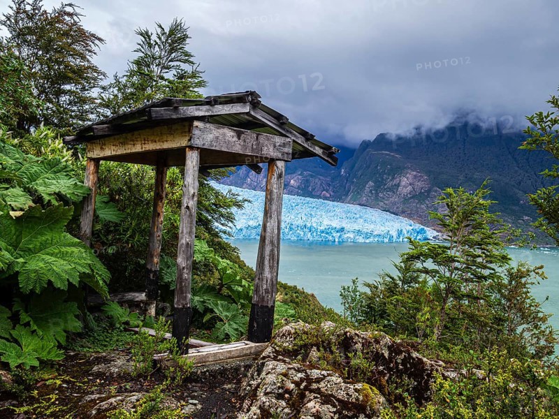 Viewpoint near San Rafael glacier snout, rain forest, San Rafael lagoon, national park, Aysen region, Patagonia, Chile, South America