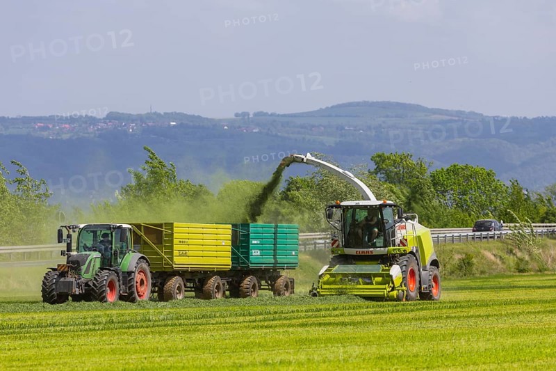 A Claas Jaguar 940 forage harvester at Grasmad in a field near Bannewitz, Bannewitz, Saxony, Germany, Europe