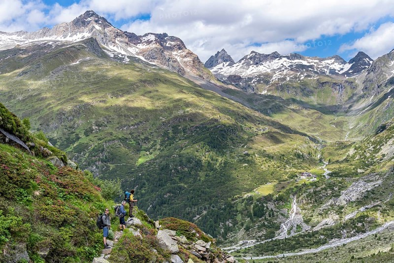 Three mountaineers on hiking trail in front of picturesque mountain landscape with blooming alpine roses, rocky mountain peaks with snow, valley Zemmgrund with Zemmbach, mountain panorama with summit Ochsner and Zsigmondyspitze, Berliner Höhenweg, Zillertal Alps, Tyrol, Austria, Europe