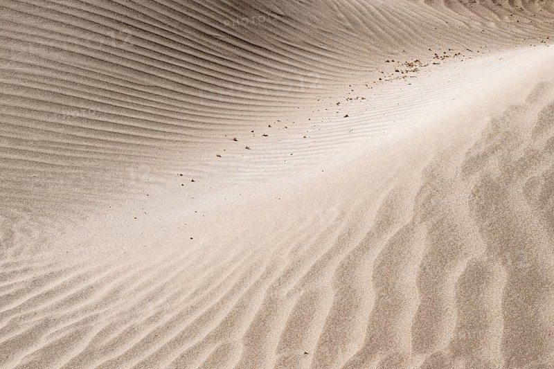 Dune landscape, Playa de Famara, Lanzarote, Canary Islands, Spain, Europe