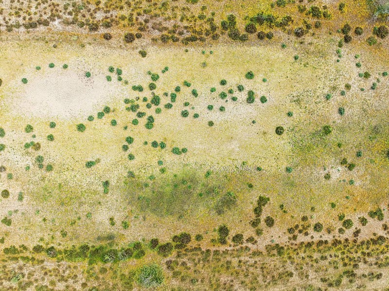 Detail of marshland near Sanlúcar de Barrameda. Aerial view. Drone shot. Cádiz province, Andalusia, Spain, Europe