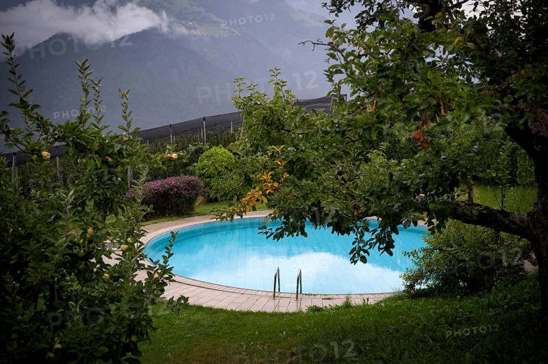 Swimming pool, Swimming pool, Garden, Vineyards, Vines, Scena, Scena, South Tyrol, Autonomous Province of Bolzano, Italy, Europe