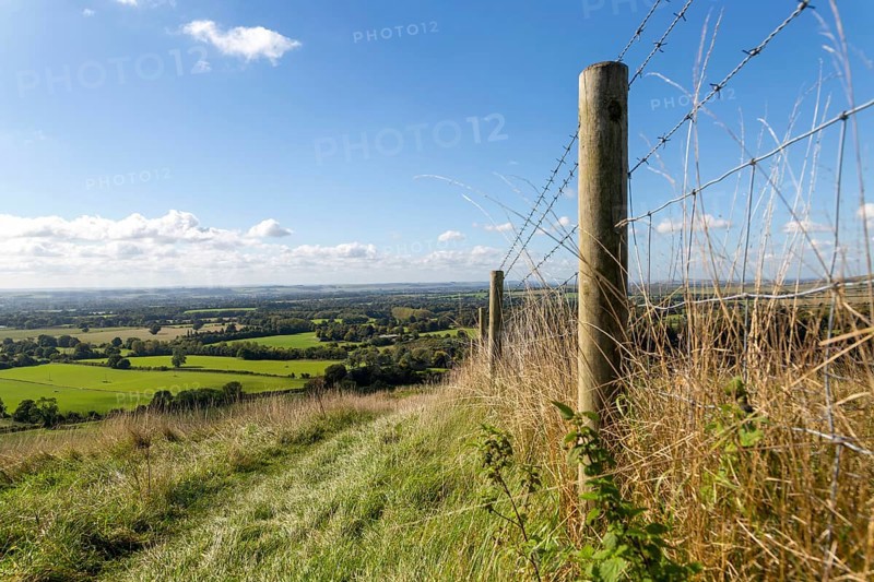 Low angle view fence posts Vale of Pewsey, Pewsey Vale, Martinsell Hill, Oare, Wiltshire, England, UK
