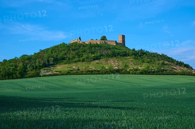 A castle ruin on a wooded hill under a blue sky with clouds, Gleichen Castle or Wanderslebener Gleiche, Drei Gleichen, Thuringia, Germany, Europe
