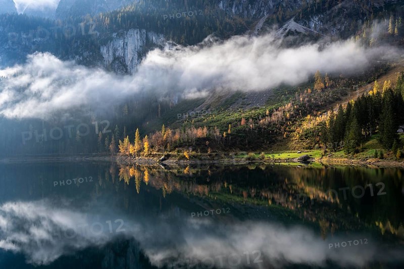 The Vordere Gosausee in autumn with a view of the Gosaukamm. Trees in autumn leaves, yellow larches. Sun and clouds. Overcast. Reflection. Vorderer Gosausee, Gosau, Gosau valley, Salzkammergut, Upper Austria, Austria, Europe