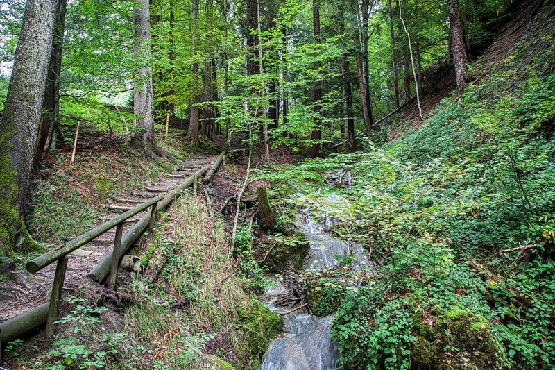 Klammweg, Missen, Oberallgäu, Allgäu, Bavaria, Germany, Europe