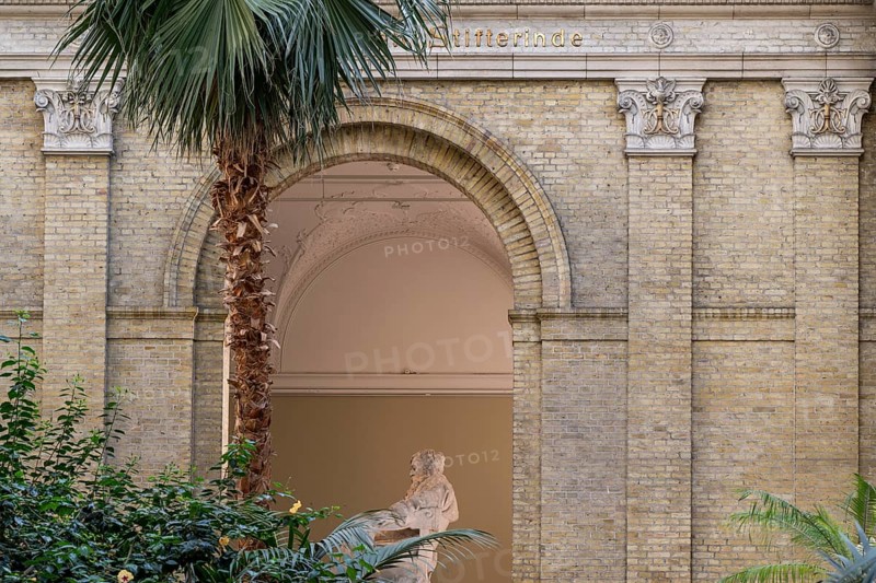 Palm Garden, Ny Carlsberg Glyptotek or New Carlsberg Glyptothek, art museum for sculpture and painting, architects Vilhelm Dahlerup and Hack Kampmann, Copenhagen, Denmark, Europe