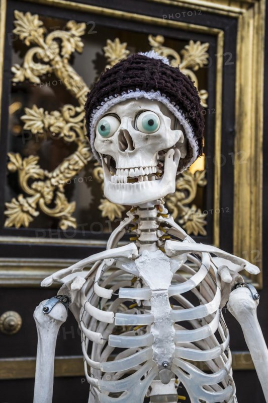 Skeleton in front of the Natural History Museum Basel, Basel, Canton Basel-Stadt, Switzerland, Europe