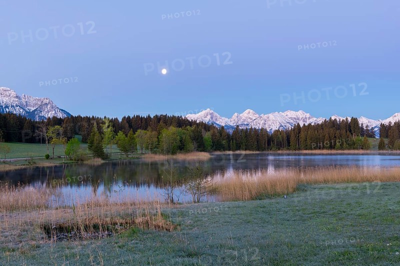 Hegratsrieder See near Füssen, Allgäu Alps, snow, moon, dawn, Allgäu, Bavaria, Germany, Europe