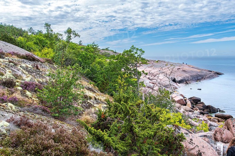 Bizarre coastal landscape of granite rocks on the Blue Maiden (Bla Jungfrun), an island and national park in northern Kalmarsund between Oskarshamn and Öland, Sweden, Europe