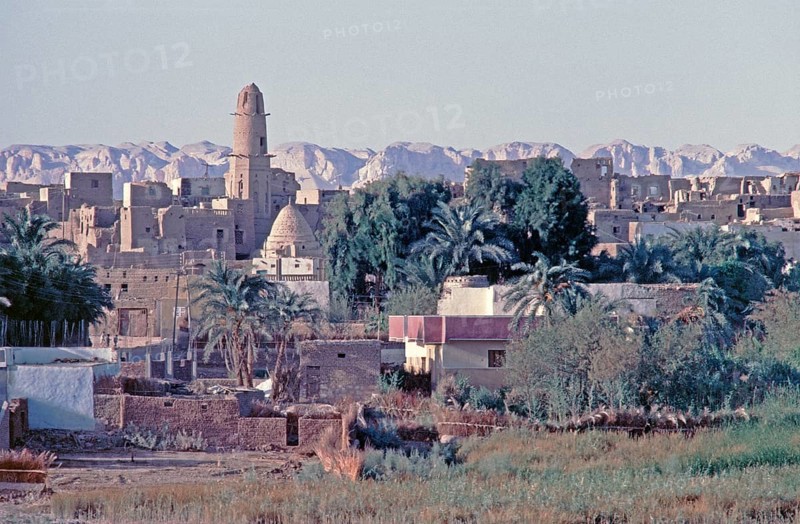 Mosque from the 9th century, mud-brick houses, main town Qasr, Oasis ad-Dachla, Libyan Desert, Egypt, Africa