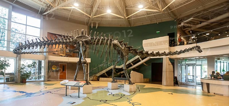 Vernal, Utah, The Utah Field House of Natural History State Park Museum displays dinosaur models, skeletons, bones, and fossils. A 90-foot-long Diplodocus skeleton is displayed in the museum rotunda