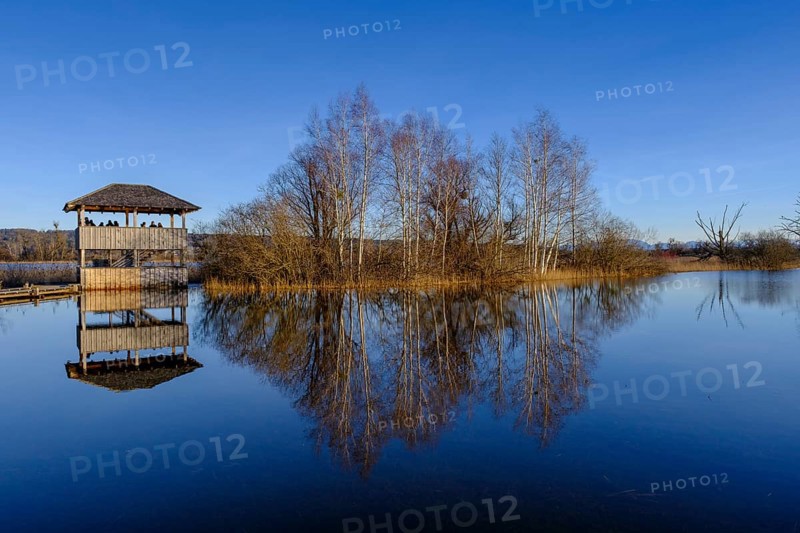 Birdwatching tower, observation tower, high water in Dießen am Lake Ammer, Diessen, Fünfseenland, Upper Bavaria, Bavaria, Germany, Europe