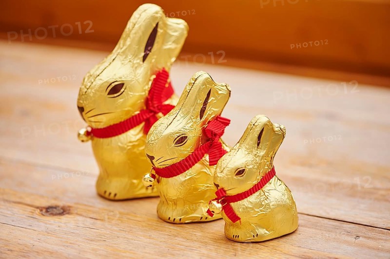 Decoration with golden chocolate bunnies for easter, Germany, Europe