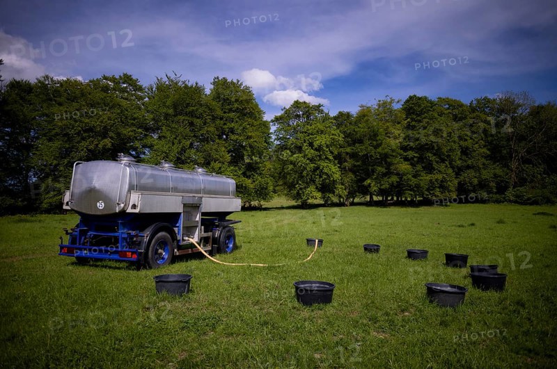 Water barrel wagon, water tank, mobile, for sheep, flock of sheep, Römerstein, former military training area Münsingen, Swabian Alb biosphere reserve, Baden-Württemberg, Germany, Europe
