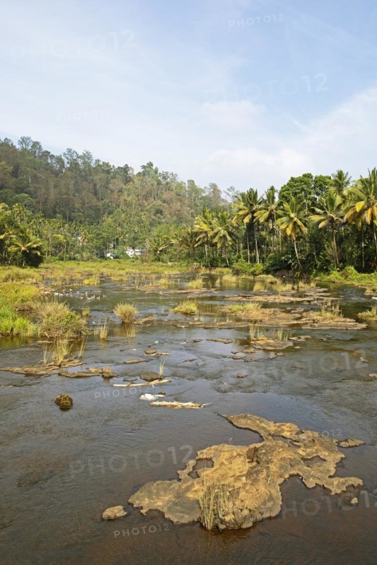 Periyar River, Thekkady, Kerala, India, Asia