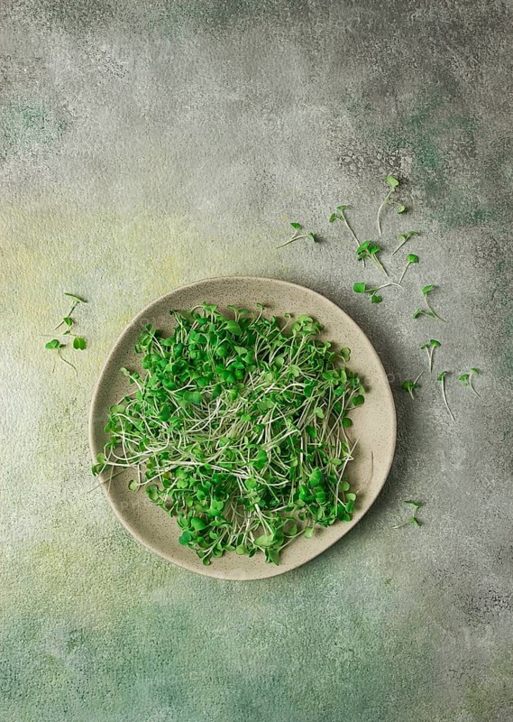 Fresh micro-greenery, on a plate, top view, no people
