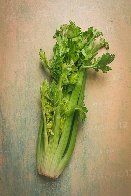 Fresh bunch of celery, top view, no people