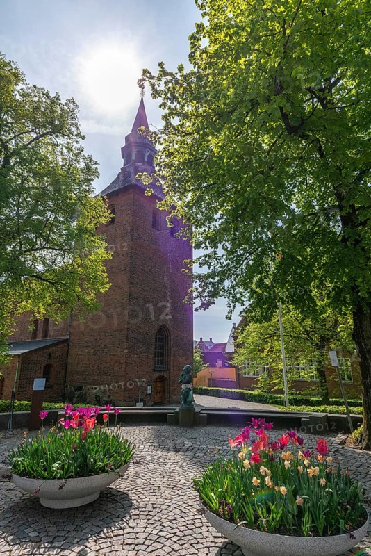 Svendborg Old Town, St. Nicolai Church, church tower, flower bowl, blooming tulips, tree, Fyn, Fyn Island, Denmark, Europe