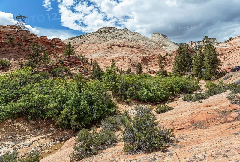 Patterns of erosion on the rock formations in Zion National Park, Utah