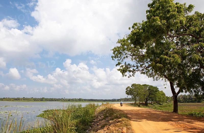 Moped riding on a sandy track at the Debara Wewa reservoir, Tissamaharama, Southern Province, Sri Lanka, Asia