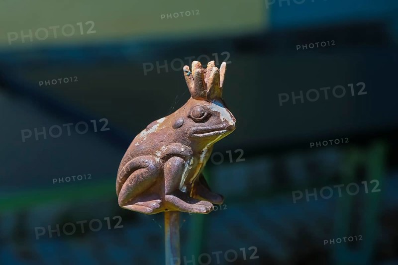 Figure of the Frog King, at Haigerloch Castle, replica of a frog on a stick, garden ornament, plug-in figure, Haigerloch, Zollernalbkreis, Baden-Württemberg, Germany, Europe