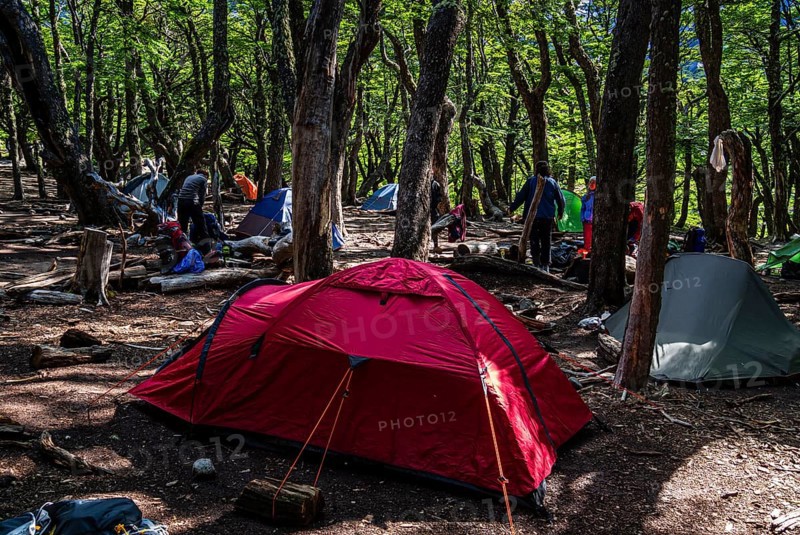 Tents in the forest, Poincenot base camp, free campground on track to Mirador Laguna de Los Tres, Fitz Roy mountain range, Los Glaciares National Park, Patagonia, Argentinia