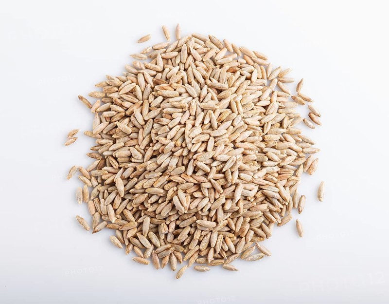 Heap of rye grains isolated on white background. close up, top view