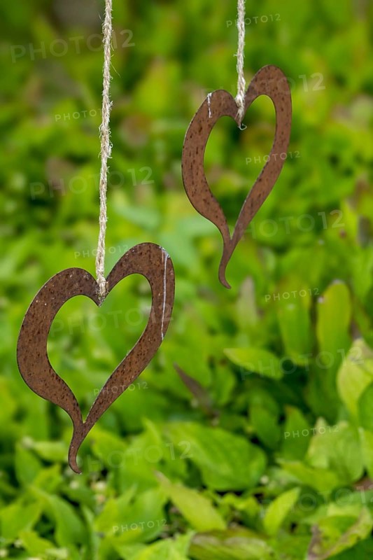 Two metal hearts on a string, North Rhine-Westphalia, Germany, Europe