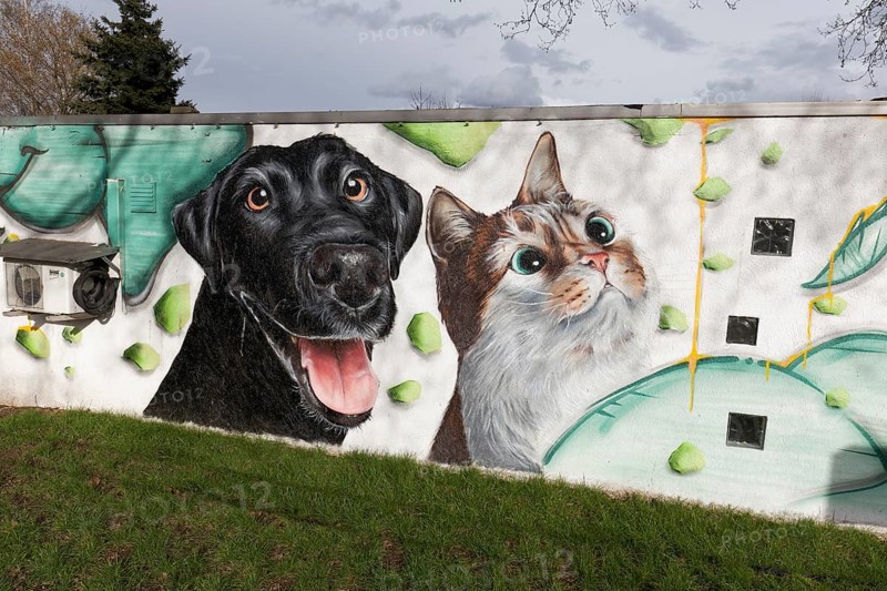 Portraits of dog and cat, realistically painted mural at an animal shelter, Duisburg, North Rhine-Westphalia, Germany, Europe
