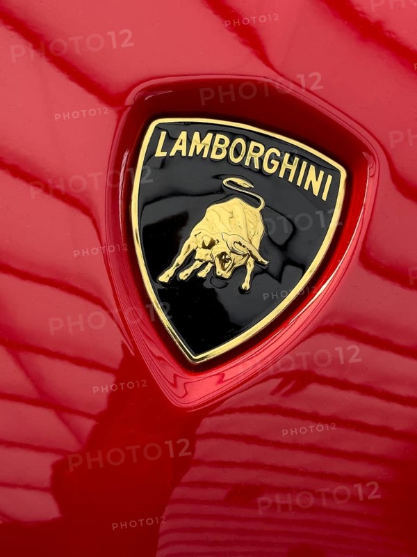 Logo with Lamborghini lettering and stylised fighting bull from sports car manufacturer on red bonnet of sports car supercar super sports car, international