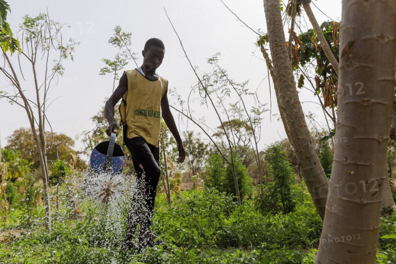 Watering of fields by farmers during organic farming at the agroecological training centre Centre Beo-Noree in Beo-Noree, 04.03.2024.photographed on behalf of the Federal Ministry for Economic Cooperation and Development