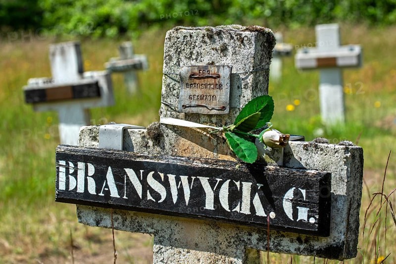 Cemetery with graves of vagabonds and homeless who lived and worked at the Colony of Wortel near Hoogstraten, province of Antwerp, Flanders, Belgium, AI generated, Europe