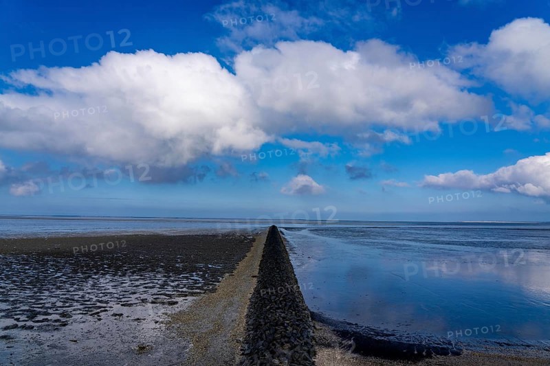 The Wadden Sea, East Frisia, between Bensersiel and Neuharlingersiel, Breakwater behind the dyke, Lower Saxony, Stairs, Germany, Europe