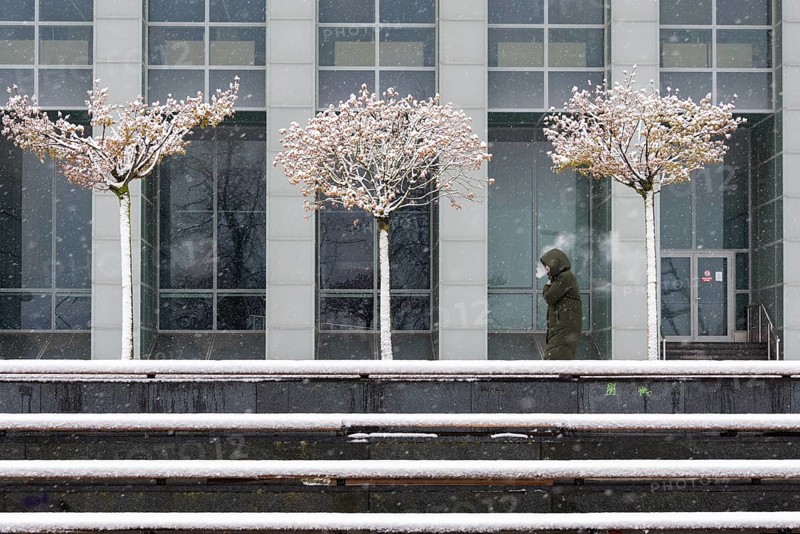 Three snow-covered trees stand in front of the Latvian National Library, a person exhales breath or cigarette smoke, Riga, Latvia, Europe