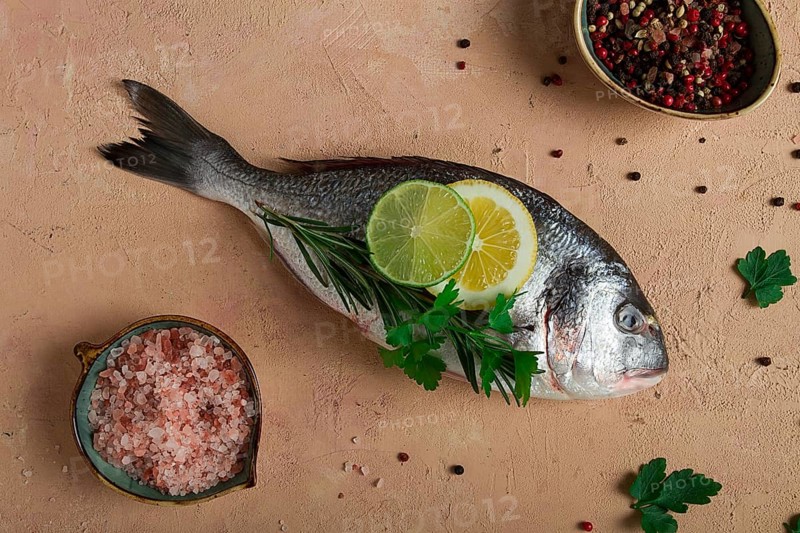 Fresh, raw dorado fish, top view, no people