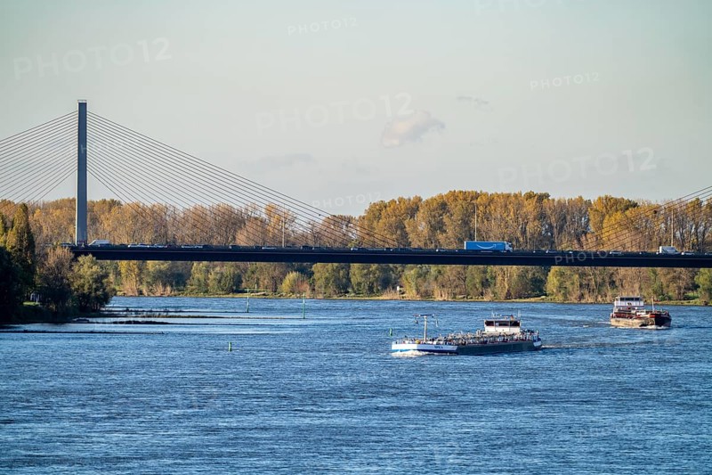 Friedrich Ebert Bridge over the Rhine near Bonn, also known as the North Bridge, motorway bridge on the A565, cable-stayed bridge, cargo ships, North Rhine-Westphalia, Germany, Europe