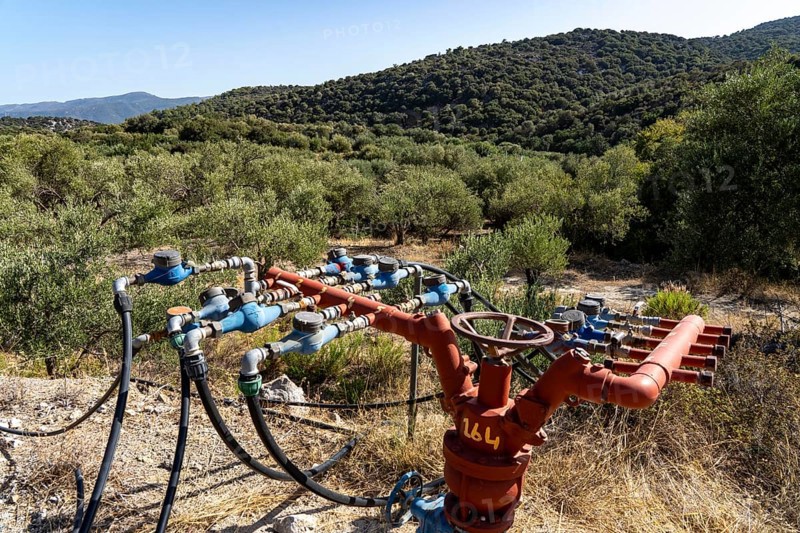 Water supply in an olive tree plantation, several hoses lead from a main pipe to the respective plantations, with water meter, without artificial irrigation the olive yields would not be feasible, on the island of Crete, south of Agios Nikolaos, Greece, Europe